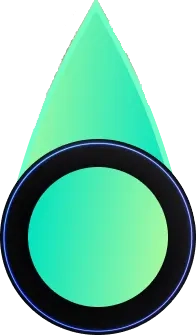 spin-pointer